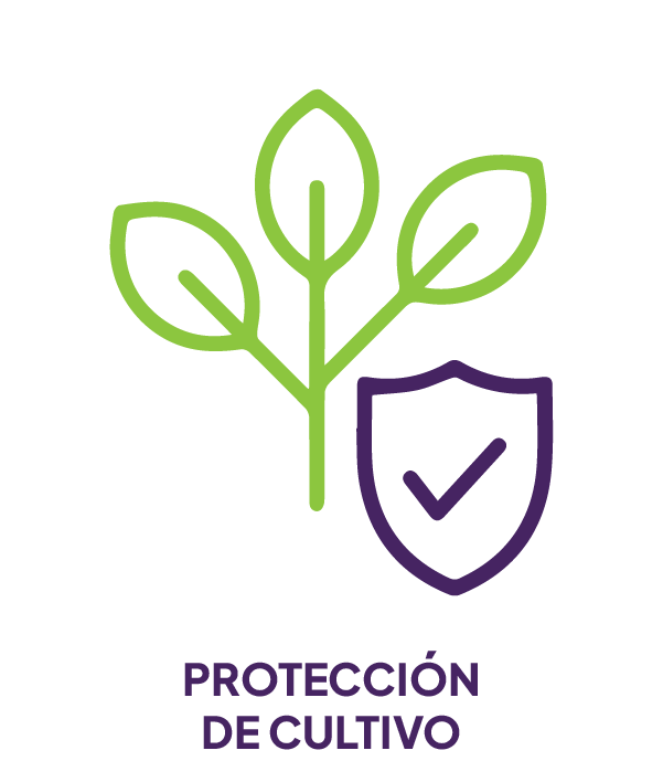 PROTECCION CULTIVO